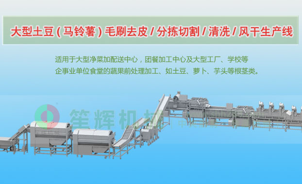 镜湖连续式土豆去皮清洗切割风干生产线